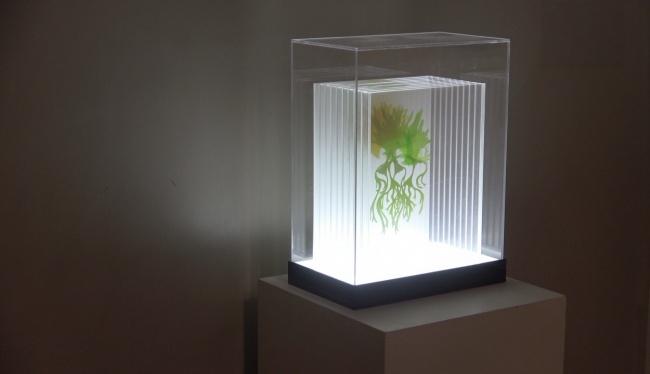 James Lin Solo Exhibition