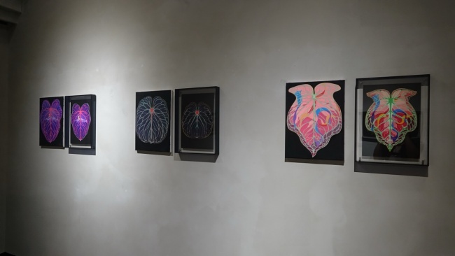 James Lin Solo Exhibition