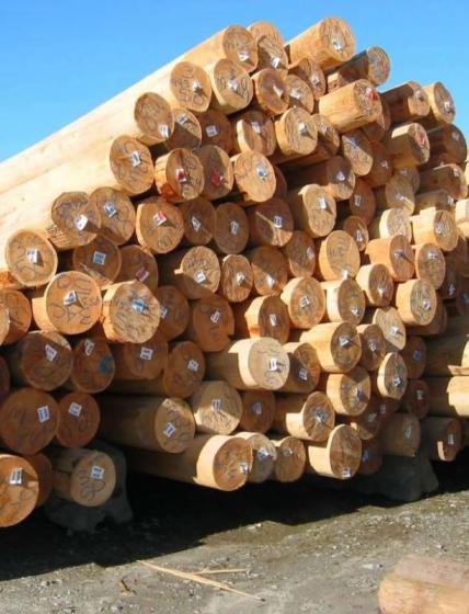 Electrical Power Pole, Wood Utility Poles for Sale – Utility Pole Supplier