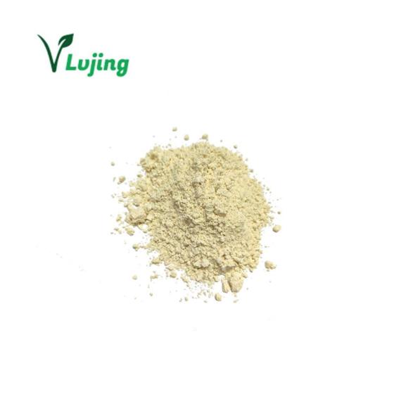 Factory Supply High Quality Ginger Root Extract Powder 5% Gingerols–Concentrated Ginger Powder – 