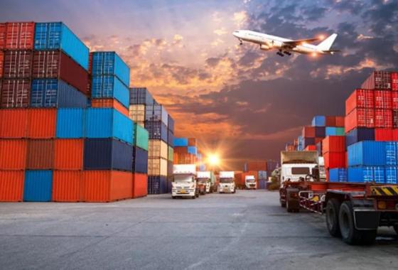 Food Import Tariffs and Processes Fully Analyzed