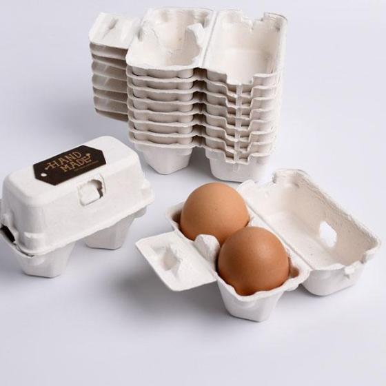 High Quality White 2cell Egg Cartons–Standard white paper egg cartons – Poultry Packaging