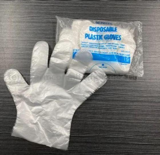 Plastic/PE Disposable Gloves Export