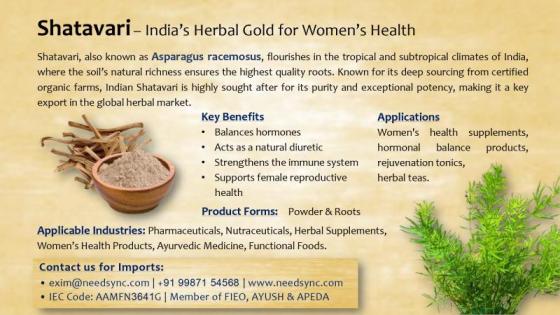 Shatavari Powder / Root – Ayurvedic Herbal Supplement – Bulk Raw Material – Wholesale