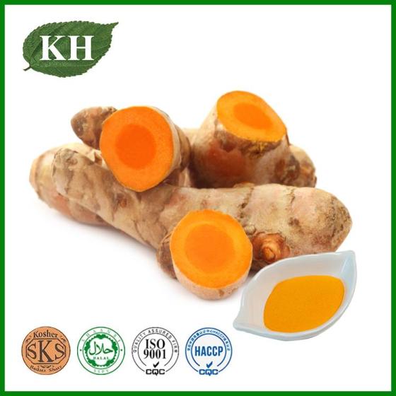 Turmeric Extract–Concentrated Form of the Popular Spice – Supplement Supplier
