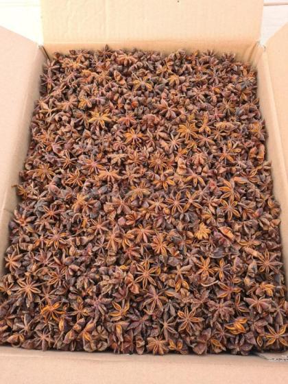 Vietnam Star Anise Good Quality Good Spice To Sell–High-Quality Spice for Culinary Use – Spice Ex